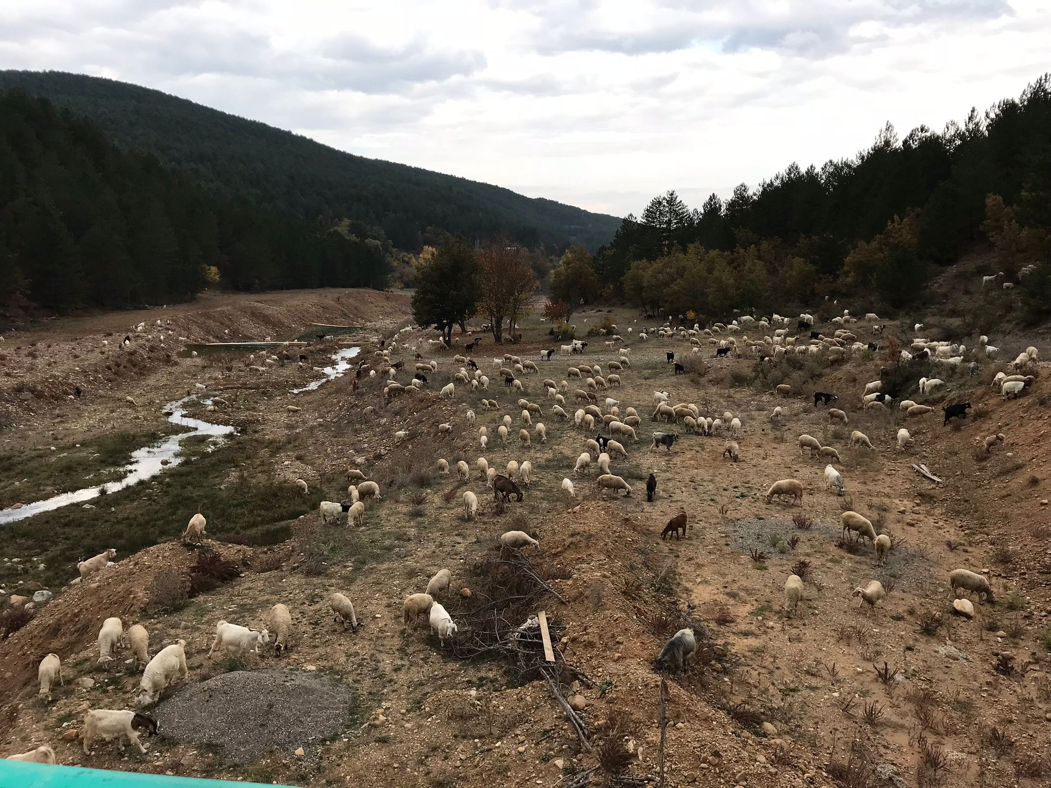 Ailenizin Kasabı, 1970'den Beri