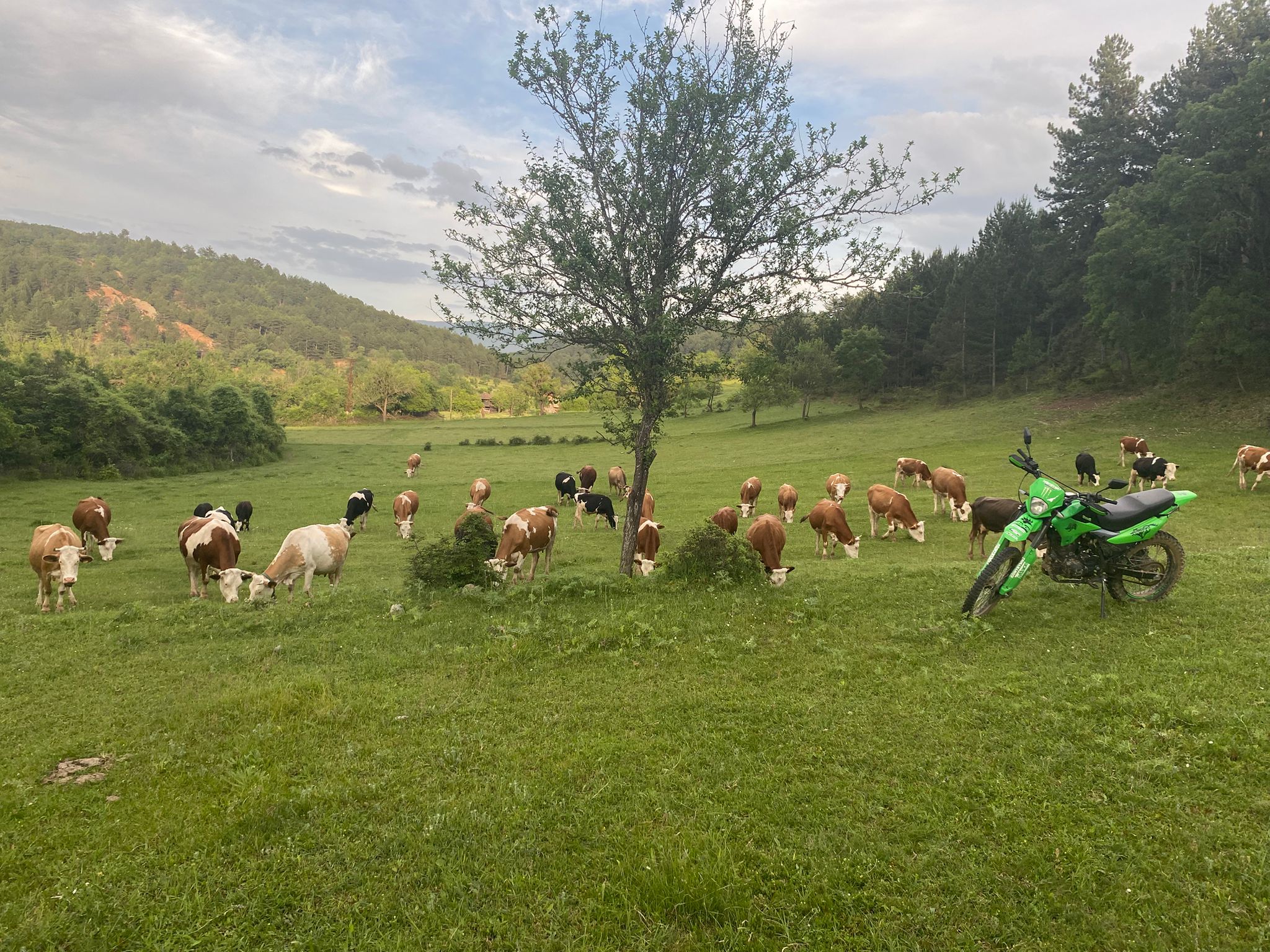 Geleneksel Lezzet, Modern Hizmet